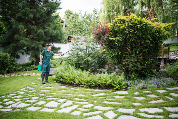 Best Pest Prevention Services  in Collingdale, PA