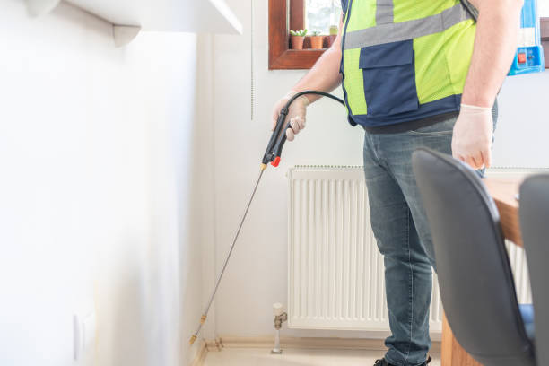 Best Mosquito Control Services  in Collingdale, PA