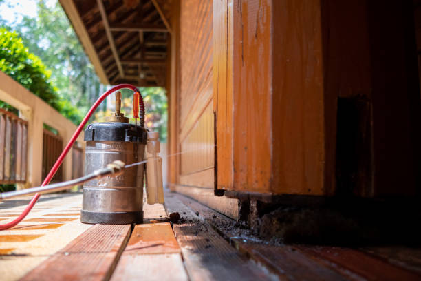 Best Ant Control Services  in Collingdale, PA