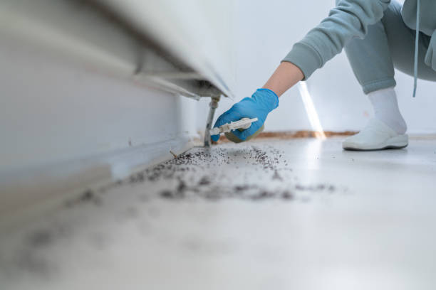 Best Residential Pest Control  in Collingdale, PA